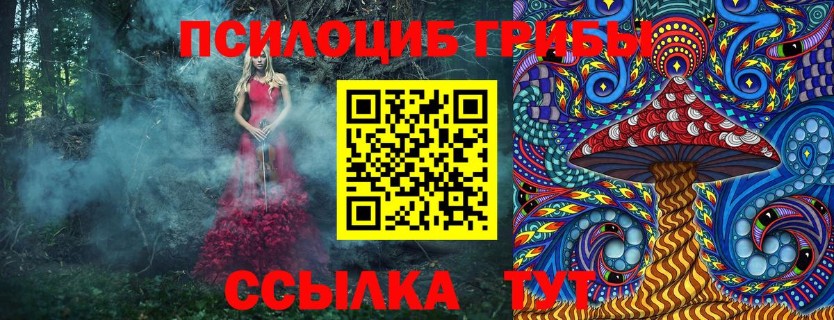 Псилоцибиновые грибы прущие грибы Торжок